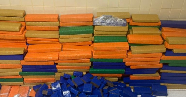 PM apreende cerca de uma tonelada de maconha na RMS