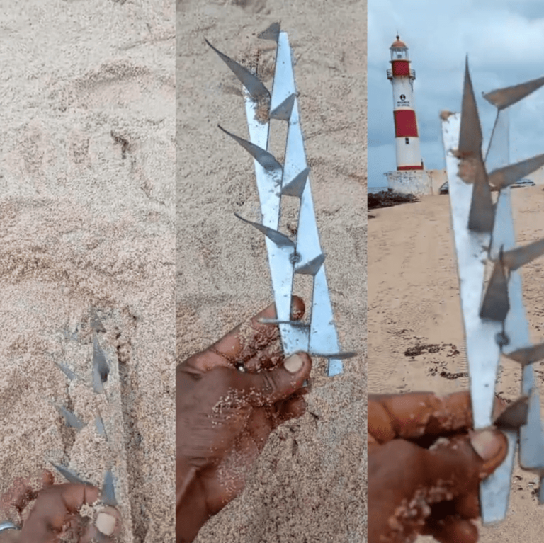 Miguelitos são encontrados enterrados na areia da praia de Itapuã