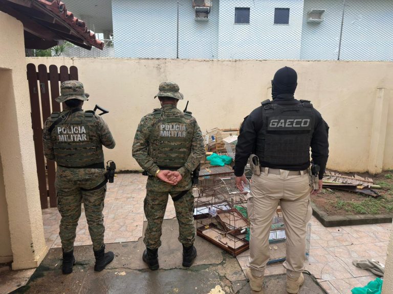 Operação contra tráfico de animais prende homem em Lauro de Freitas