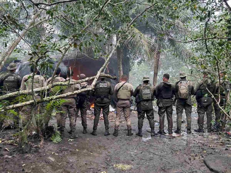 PM apreende 50 kg de material usado na fabricação de cocaína na Bahia