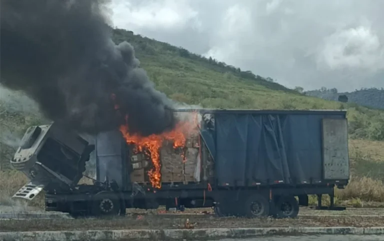 Caminhão carregado com eletrônicos pega fogo e fica destruído na BR-116