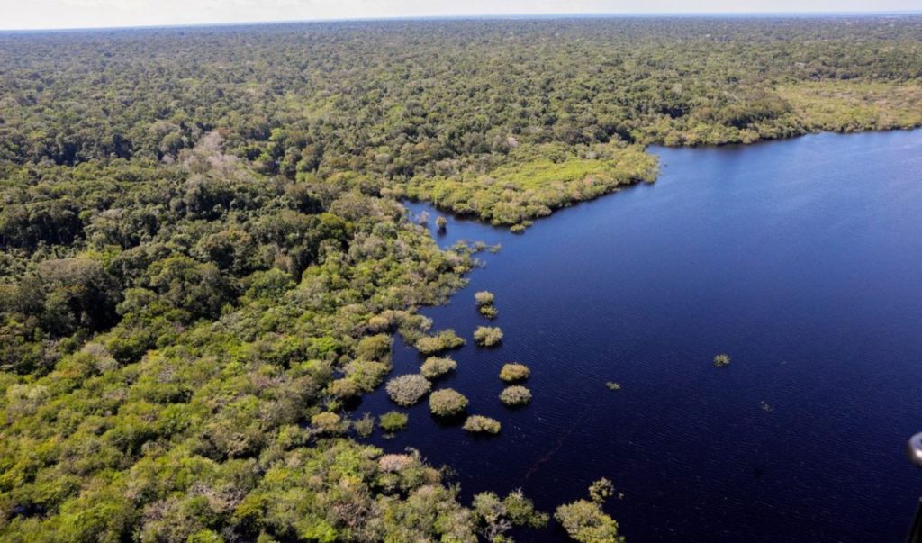 Holanda anuncia investimento de US$ 500 milhões em fundo florestal brasileiro após reeleição de Lula